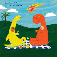 Not a Catastrophe - Tom Rosenthal