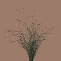 Koniec Zimy - Mikromusic