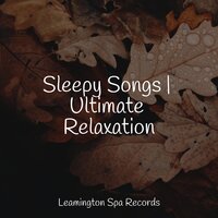 Asmr Sleep Sounds