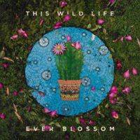 I Don't Love You Like I Want To (ft. The Happy Fits) - This Wild Life, The Happy Fits