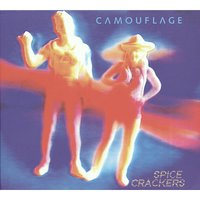 Back to Heaven - Camouflage