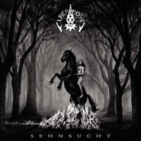 Der Tote Winkel - Lacrimosa