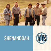 Darned If I Don't (Danged If I Do) - Shenandoah