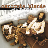 The Ship Song - Concrete Blonde, Steve Wynn