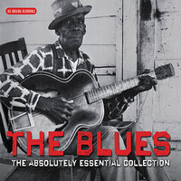 Dust My Broom (I Believe My Time Ain't Long) - Elmore James