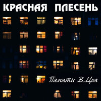У кого-то есть... - Красная плесень