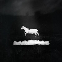 Virée nocturne - Les Discrets