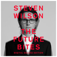 WAVE THE WHITE FLAG - Steven Wilson