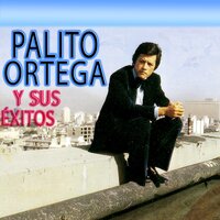 Qué Vas a Hacer Esta Noche - Palito Ortega