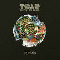 In the Lantern Light - Toad The Wet Sprocket