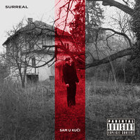 Ja sam u gasu - Surreal, Fox