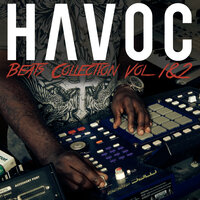 Same Shit Different Day - Havoc