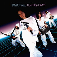 Twenty Minute Affair - DMX Krew