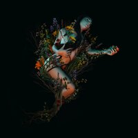 Bloom - Roniit