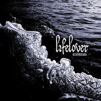 Shallow - Lifelover
