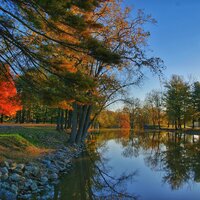 Water - Tinnitus Aid, Musique Zen Garden, Calming Sounds