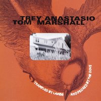 Never - Trey Anastasio, Tom Marshall