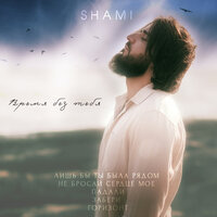 Лишь бы ты была рядом - SHAMI