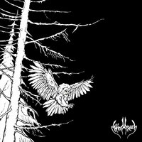 Windbruch