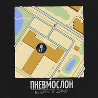 Выборы в дурке - Пневмослон