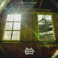 Black Swamp Water
