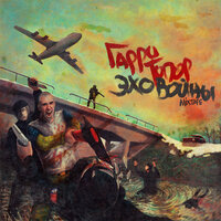 Пятый день - Гарри Топор