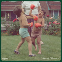 The Seldom Seen Kid - elbow