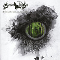 Cathedral Walls - Swallow The Sun, Anette Olzon