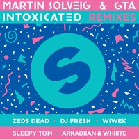 Intoxicated - Martin Solveig, GTA, Sleepy Tom