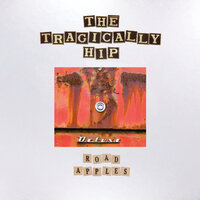 Crack My Spine Like A Whip - The Tragically Hip