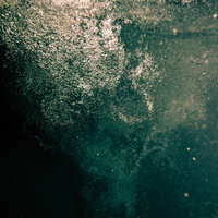 Black Is the Color - Wye Oak