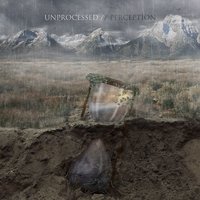 Perspective - Unprocessed