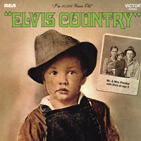 It Ain't No Big Thing (But It's Growing) - Elvis Presley