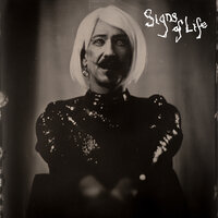 Sapling - Foy Vance