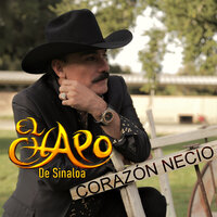 Porque Eres Mi Reina - El Chapo De Sinaloa