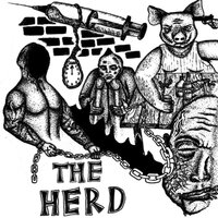 The Herd