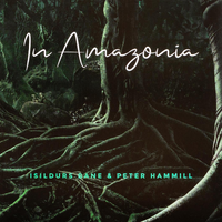 This Is Where? - Isildurs Bane, Peter Hammill