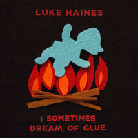 Angry Man on Small Train - Luke Haines
