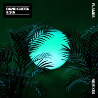 Flames - David Guetta, Sia, Robin Schulz