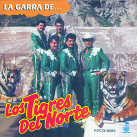 Manos Unidas - Los Tigres Del Norte