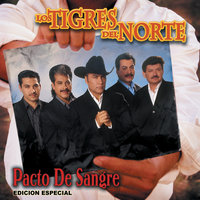 No Tiene La Culpa El Indio - Los Tigres Del Norte