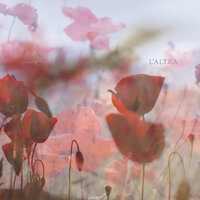 L'Altra