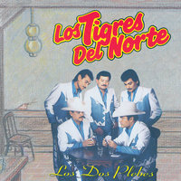 Si No Me Falla El Corazón - Los Tigres Del Norte