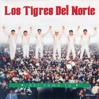 El Hijo De Tijuana - Los Tigres Del Norte