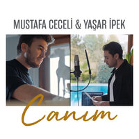 Yaşar  İpek