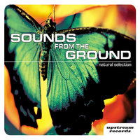 Moving into a New Space - Sounds from the Ground