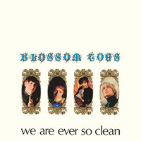 What Is It For? - Blossom Toes