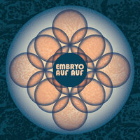 Embryo
