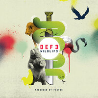 Satellite - Def3, Ceschi