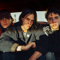 Beach Fossils